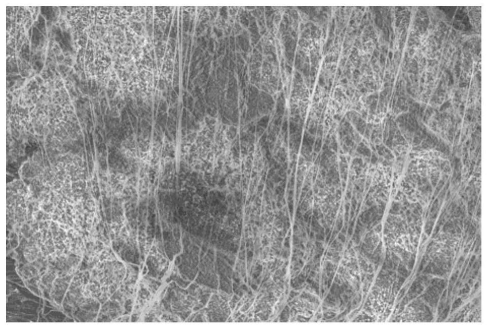 Lithium strip and preparation method and application thereof