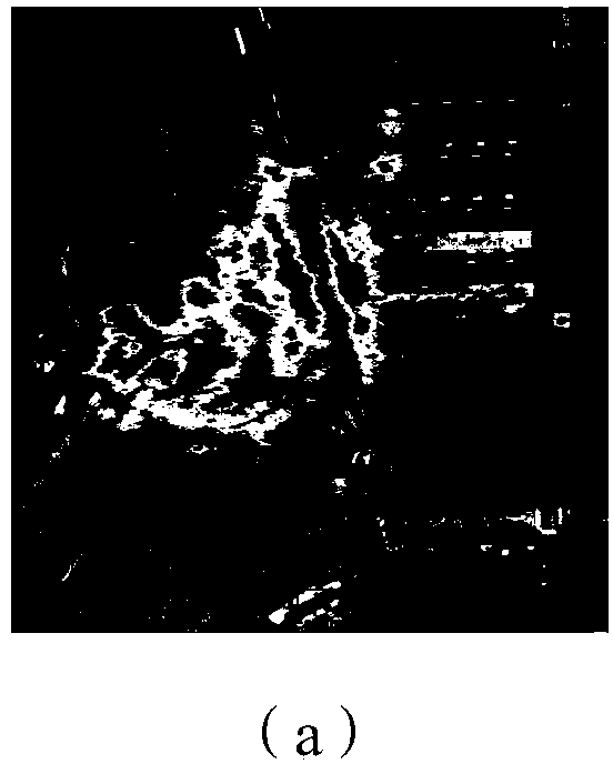 Multiple-angle navigation satellite bistatic synthetic aperture radar (SAR)-based image fusion method