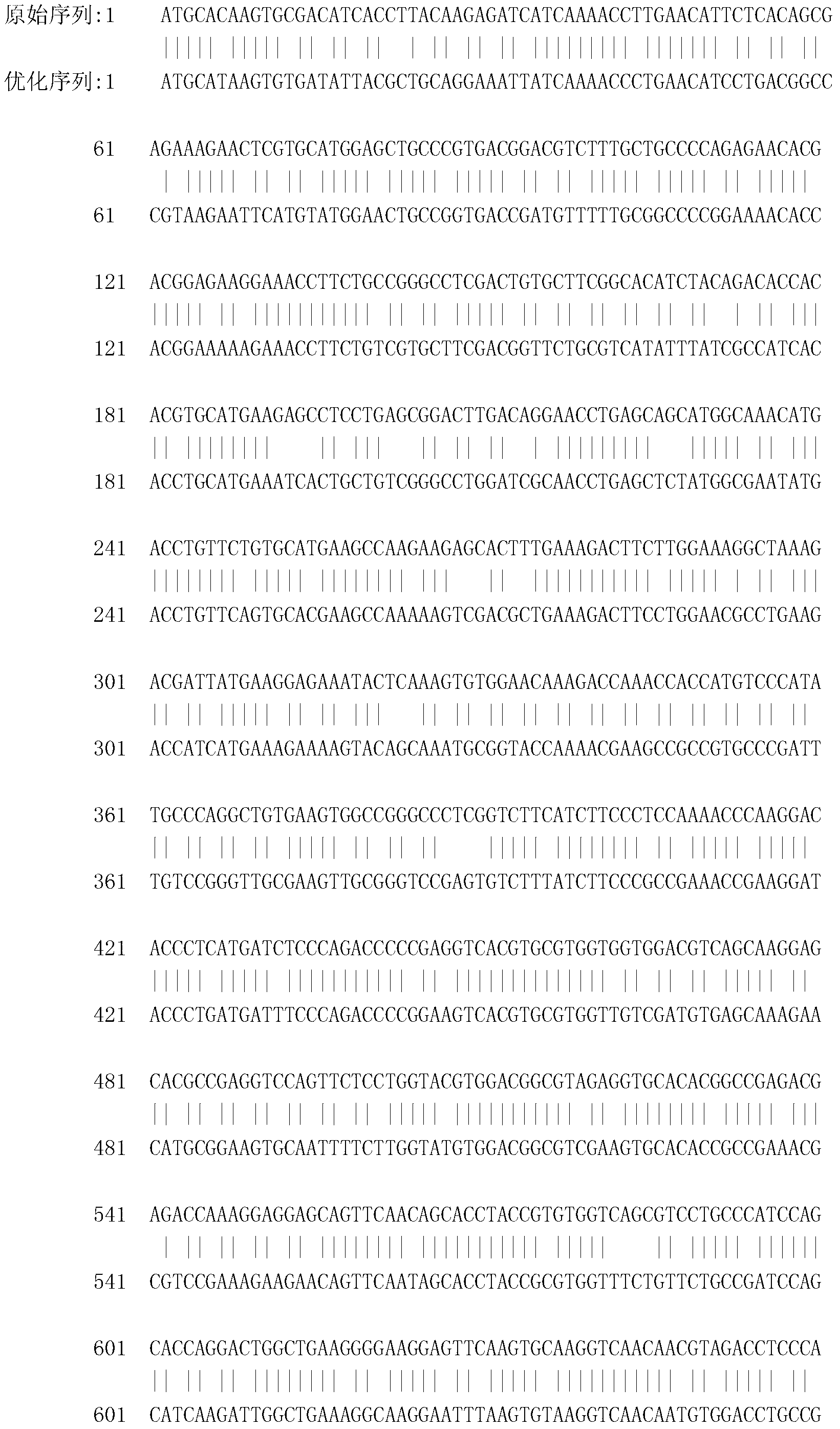 Recombinant porcine interleukin 4-Fc fusion protein as well as coding gene and expression method thereof