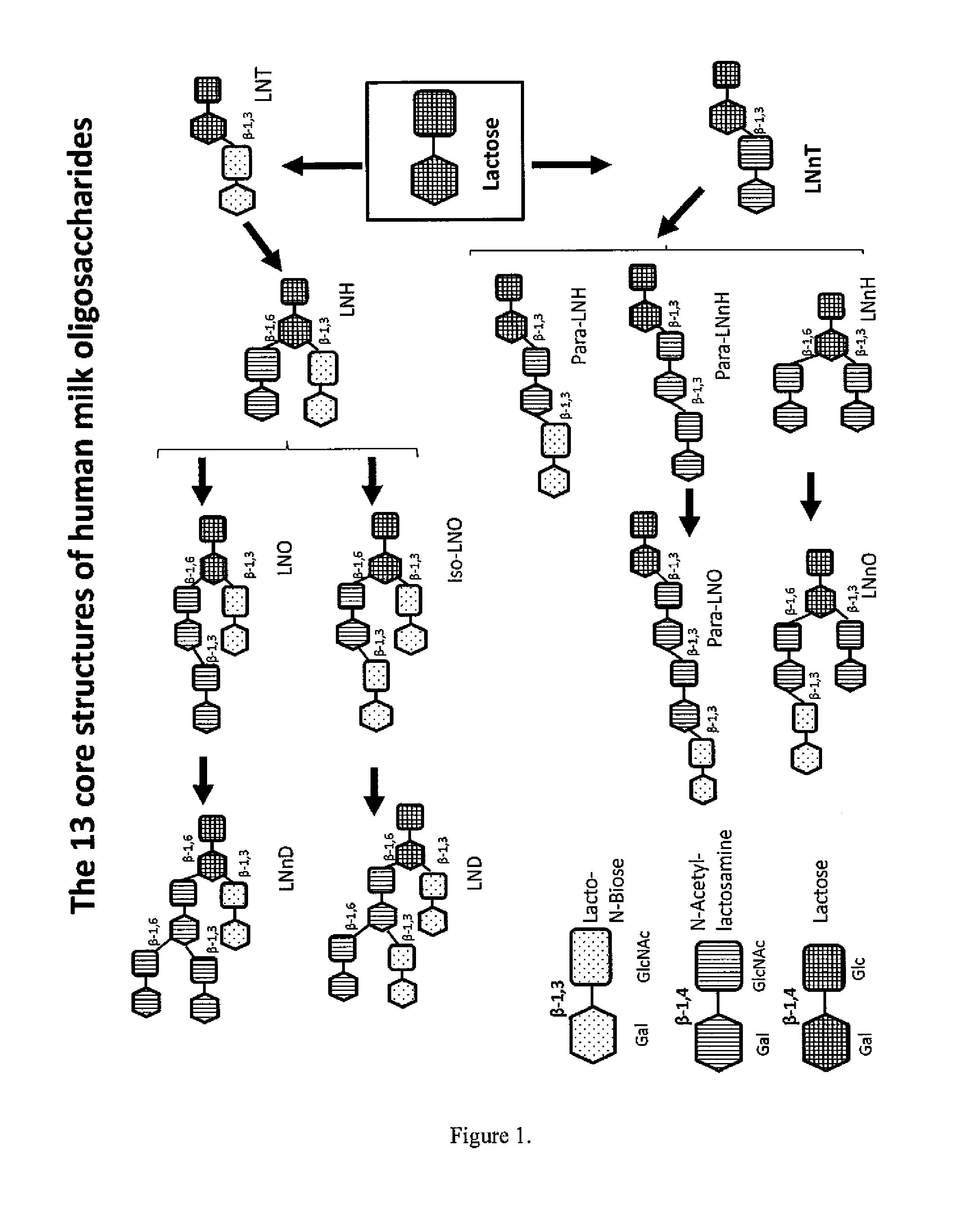 METHOD FOR GENERATING HUMAN MILK OLIGOSACCHARIDES (HMOs) OR PRECURSORS THEREOF