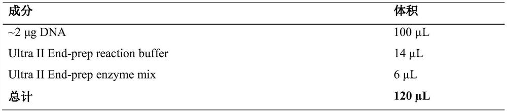 Method for detecting new resistance genes in environmental sample based on Nanopore metagenome sequencing