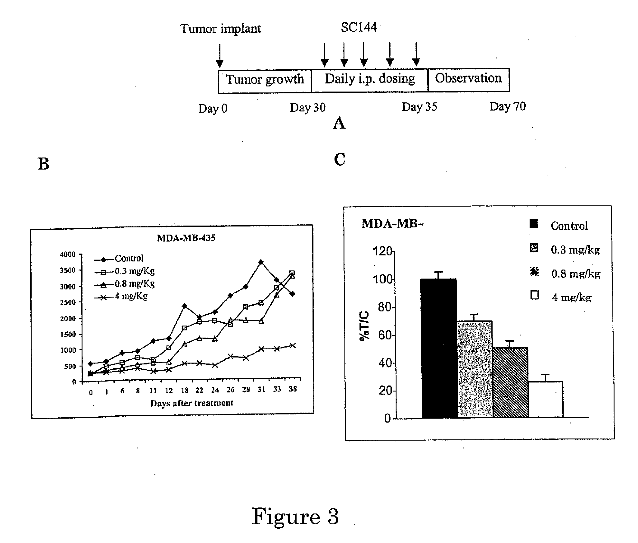 Novel compounds for treatment of cancer and disorders associated with angiogenesis function