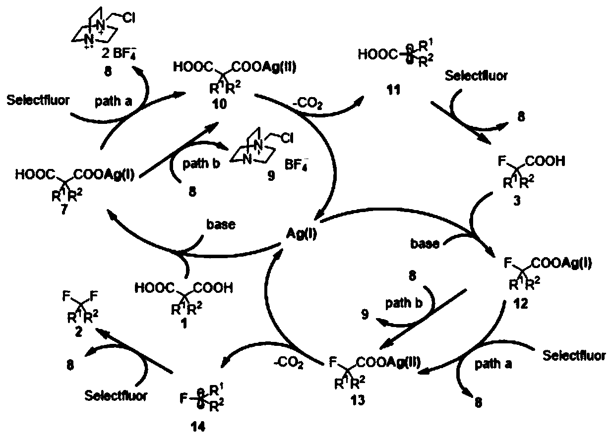 Novel synthesis method of gem-difluoroalkane and alpha-fluorocarboxylic acid