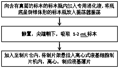 Method for detecting liquid-based fungi by using liquid-based flaking technology based on centrifugal method