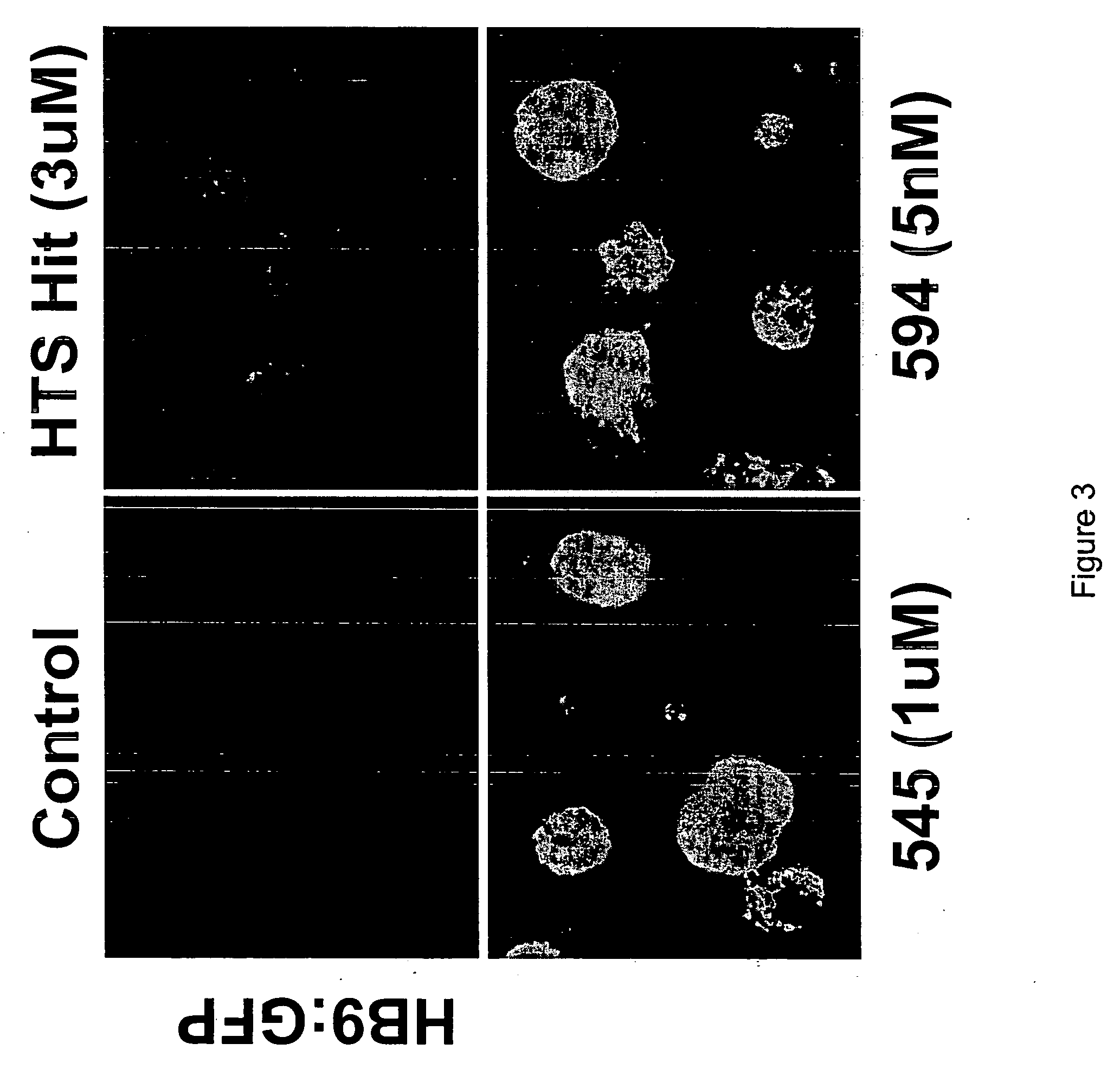 Stem cell-based methods for identifying and characterizing agents