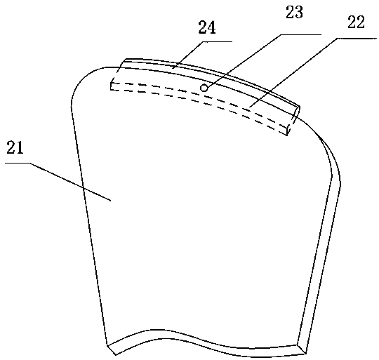 Plum Seed Harvester