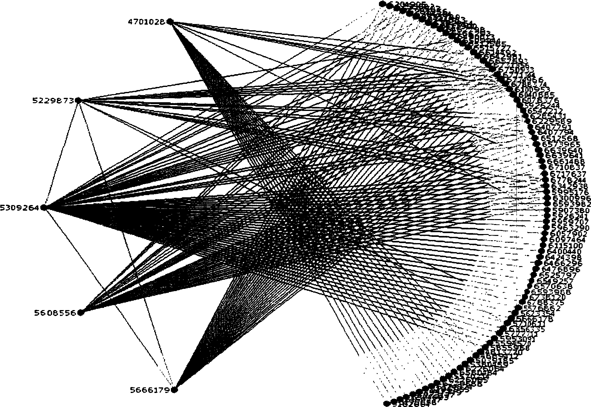 Patent analyzing system