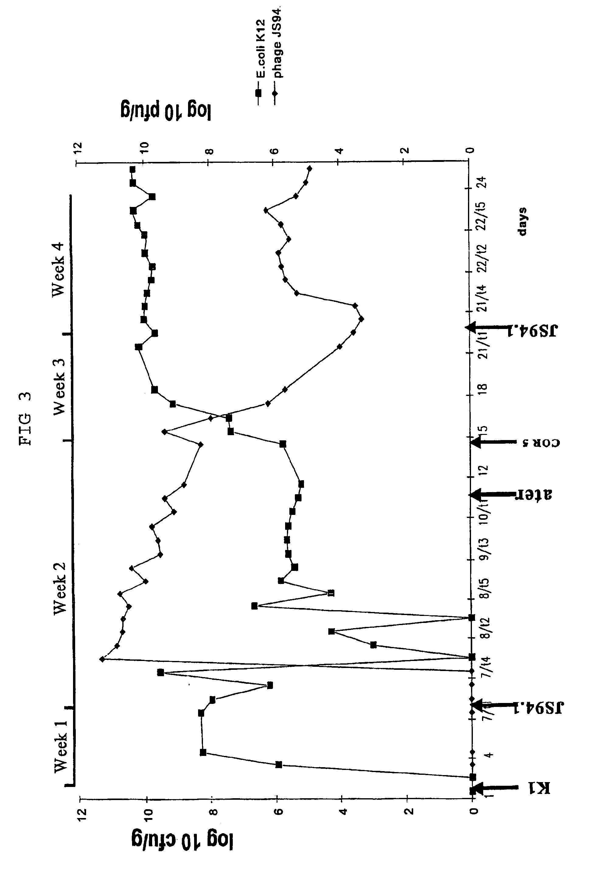 Isolated phages and their use in food or pet food products