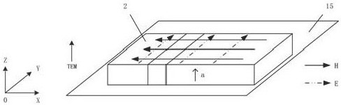 Microwave processing device for securities based on shear wave