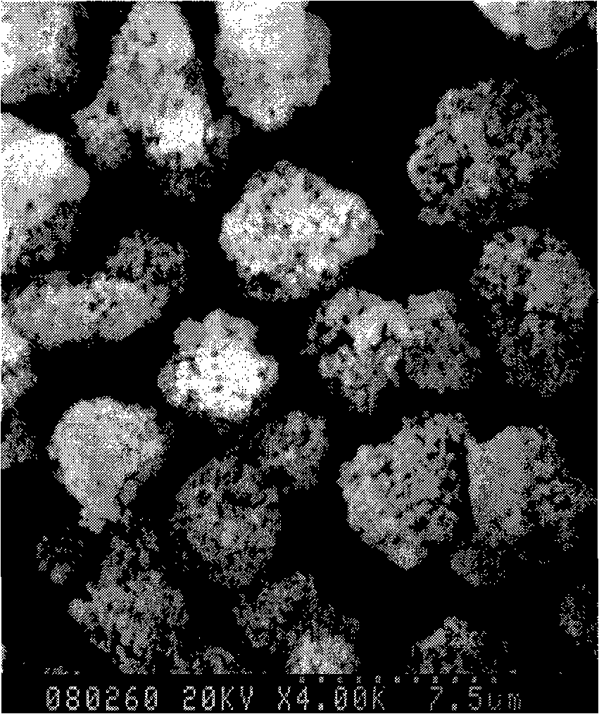 Porous magnetic gelatine microsphere and preparation thereof