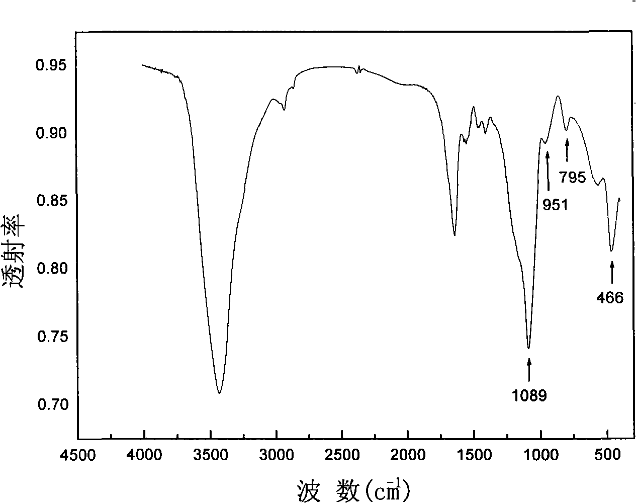 Porous magnetic gelatine microsphere and preparation thereof