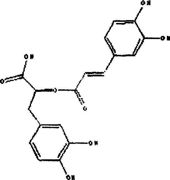 Kidney tea extract and its preparing process and application