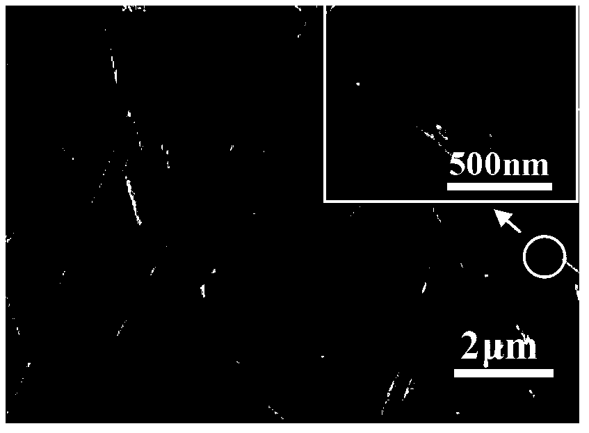 Preparation method of nano fiber affinity membrane for absorbing and separating La3+