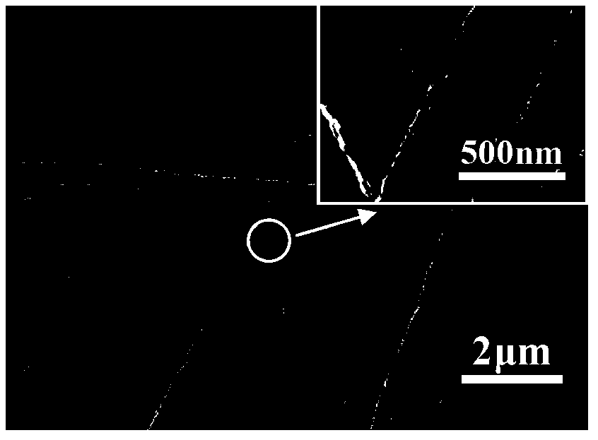 Preparation method of nano fiber affinity membrane for absorbing and separating La3+