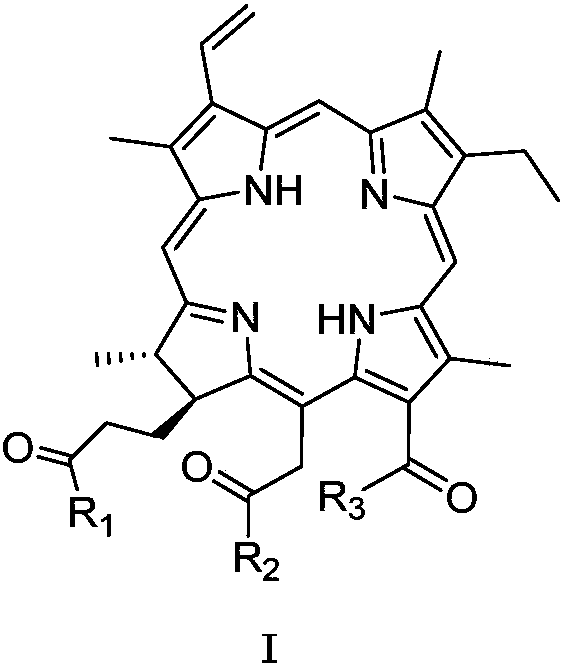 Chlorin galactoside compounds as well as preparation method and application thereof