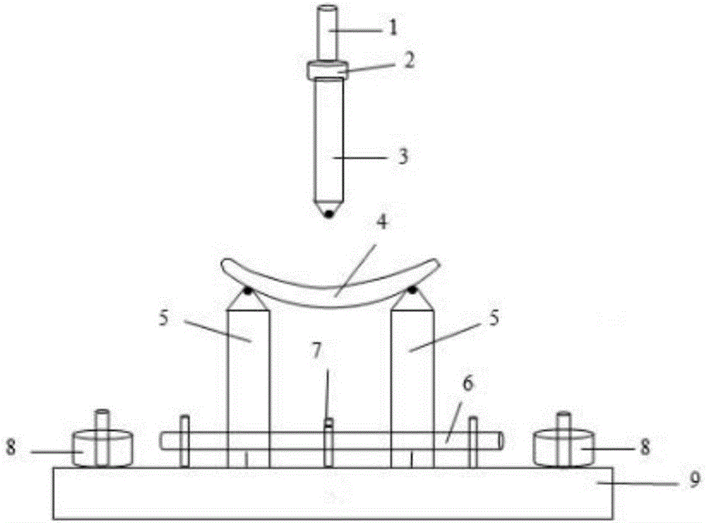 Detection method for betel nut fiber softness