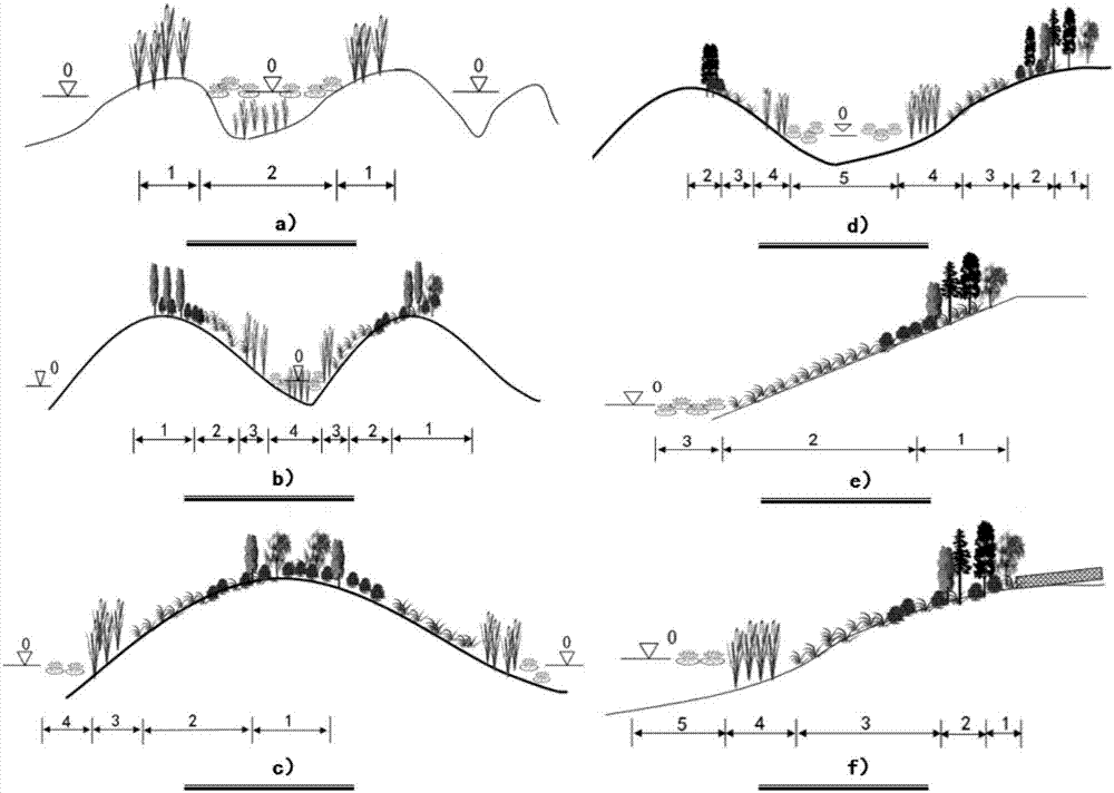 Levee-type lakeside zone multi-niche three-dimensional vegetation construction method