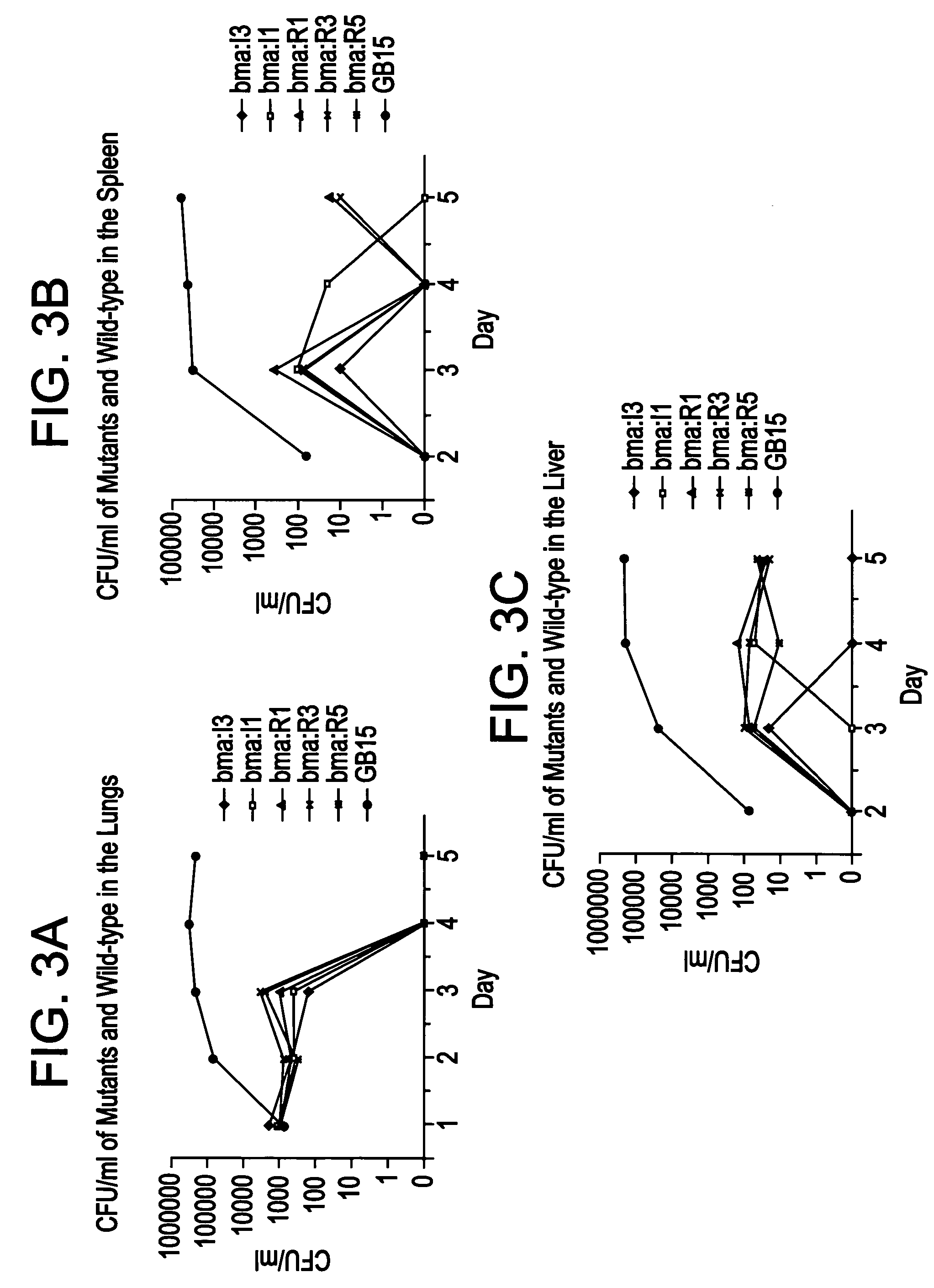 Glanders/meliodosis vaccines