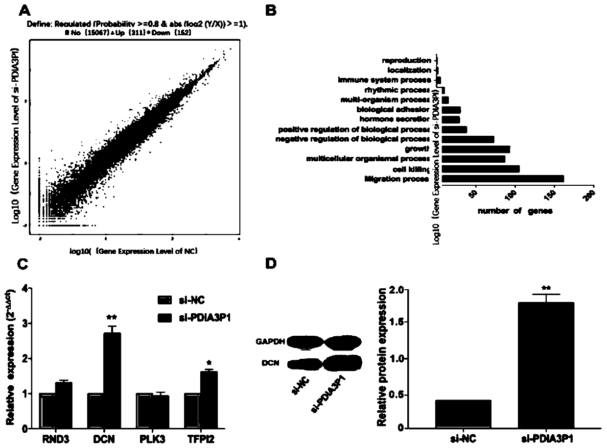 Long non-coding RNA (ribonucleic acid) and application thereof in diagnosing/treating preeclampsia