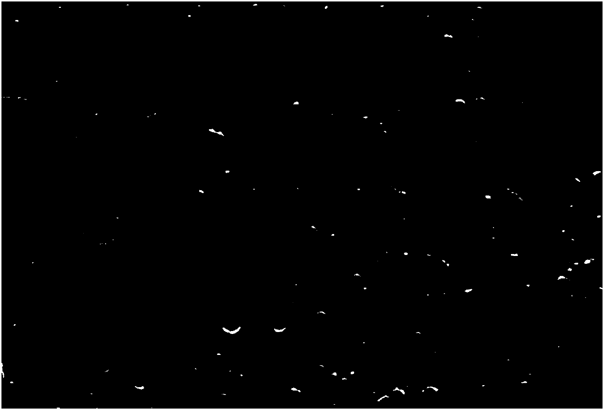 Preparation method of polymer blended functionally gradient composite material