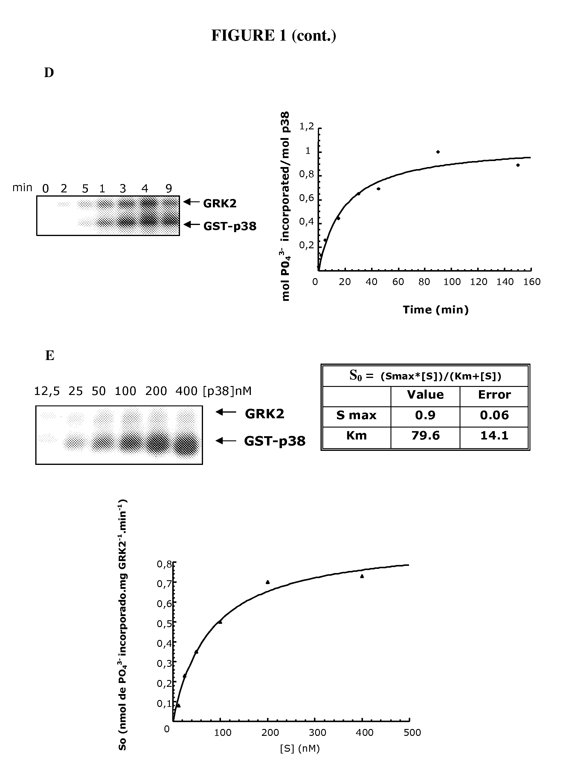 Phosphorylation Site Of Mitogen-Activated Protein Kinases, Modified Proteins And Applications