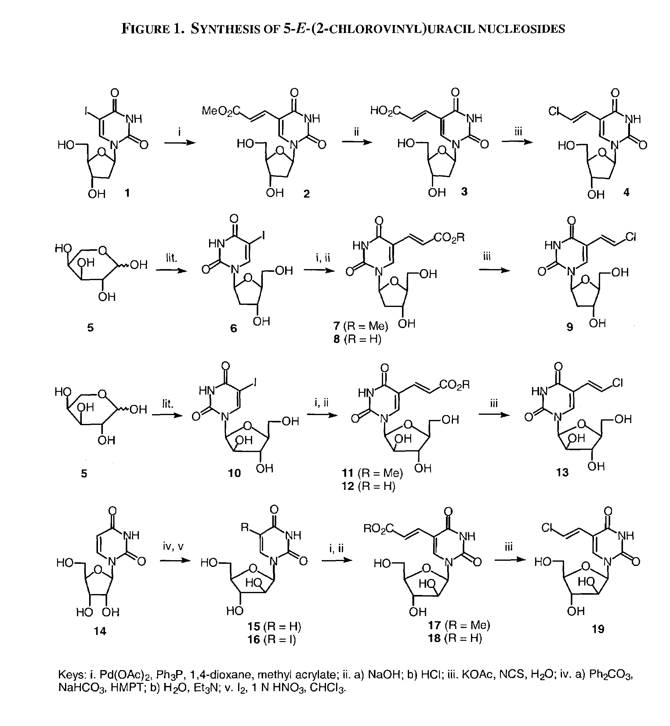 Treatment of EBV and KHSV infection