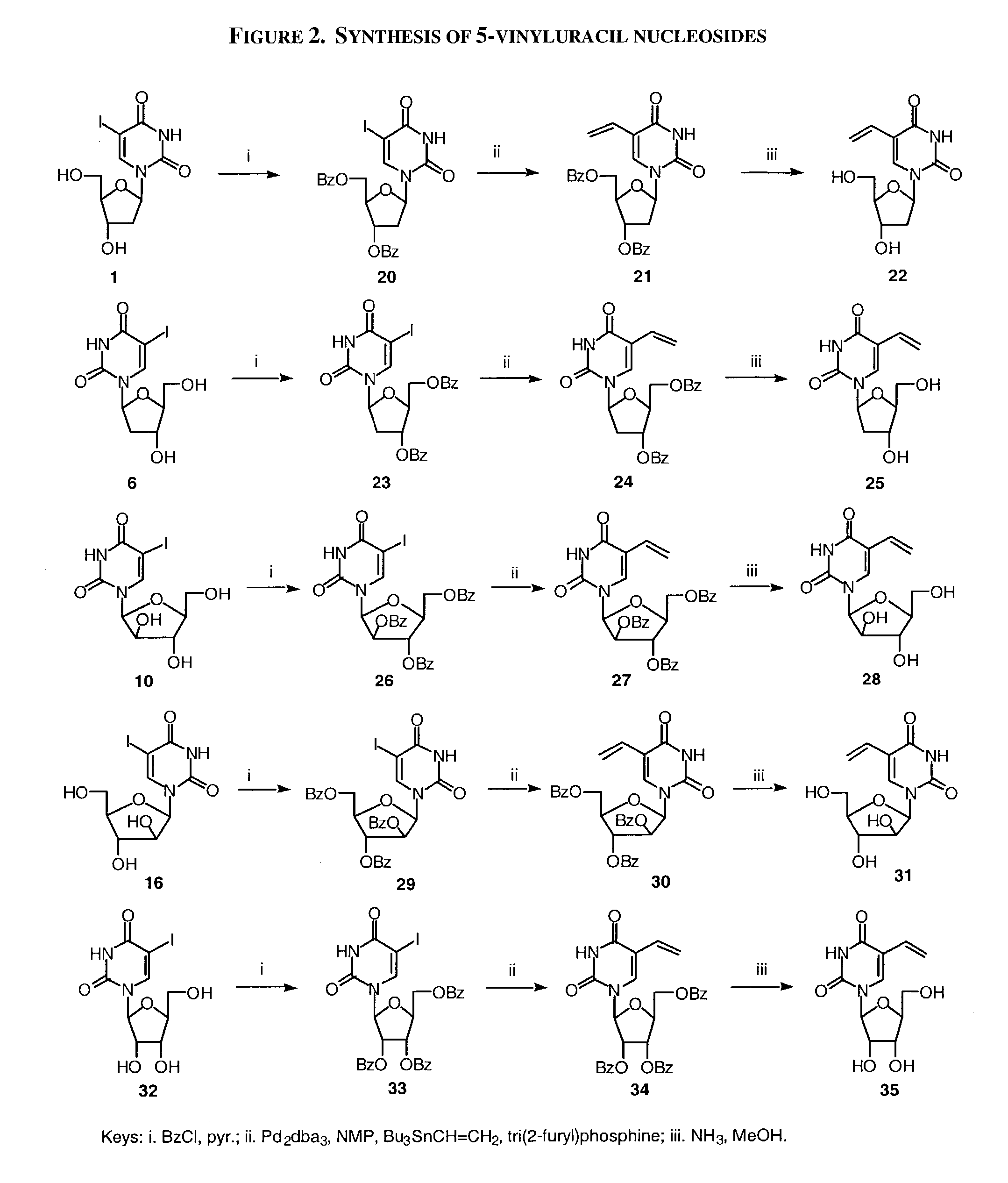 Treatment of EBV and KHSV infection