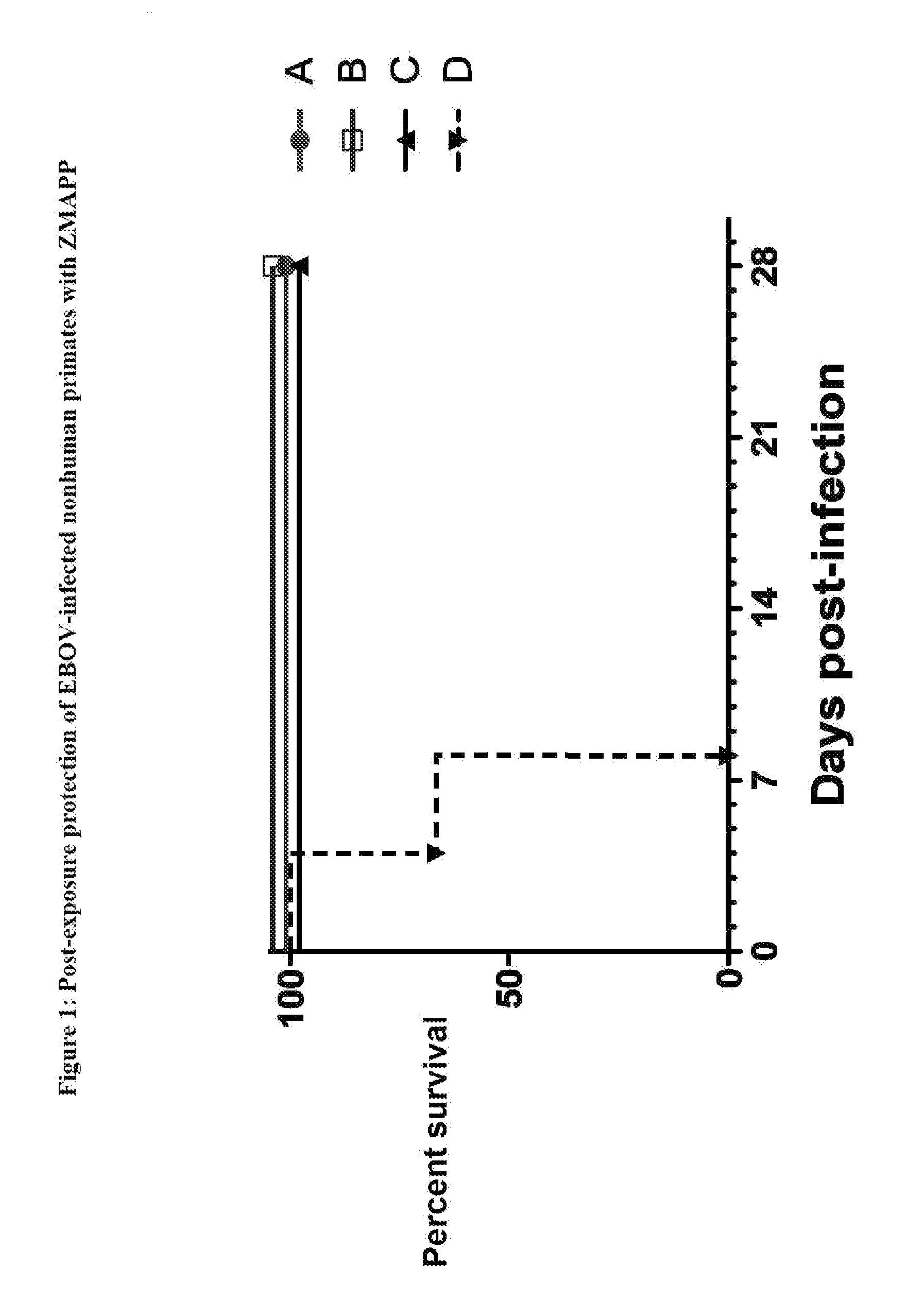 Monoclonal antibody cocktails for treatment of ebola infections