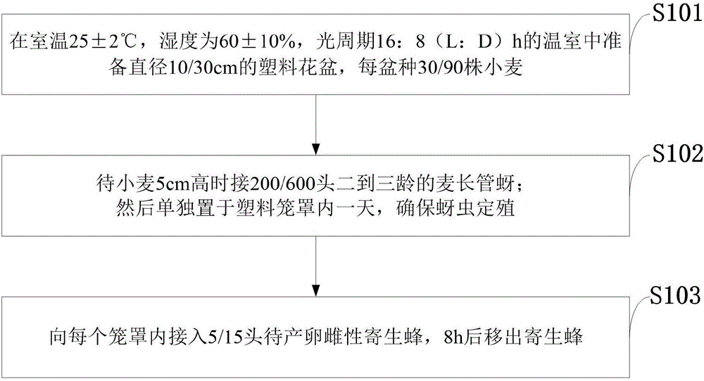 Carrier plant system and construction method thereof