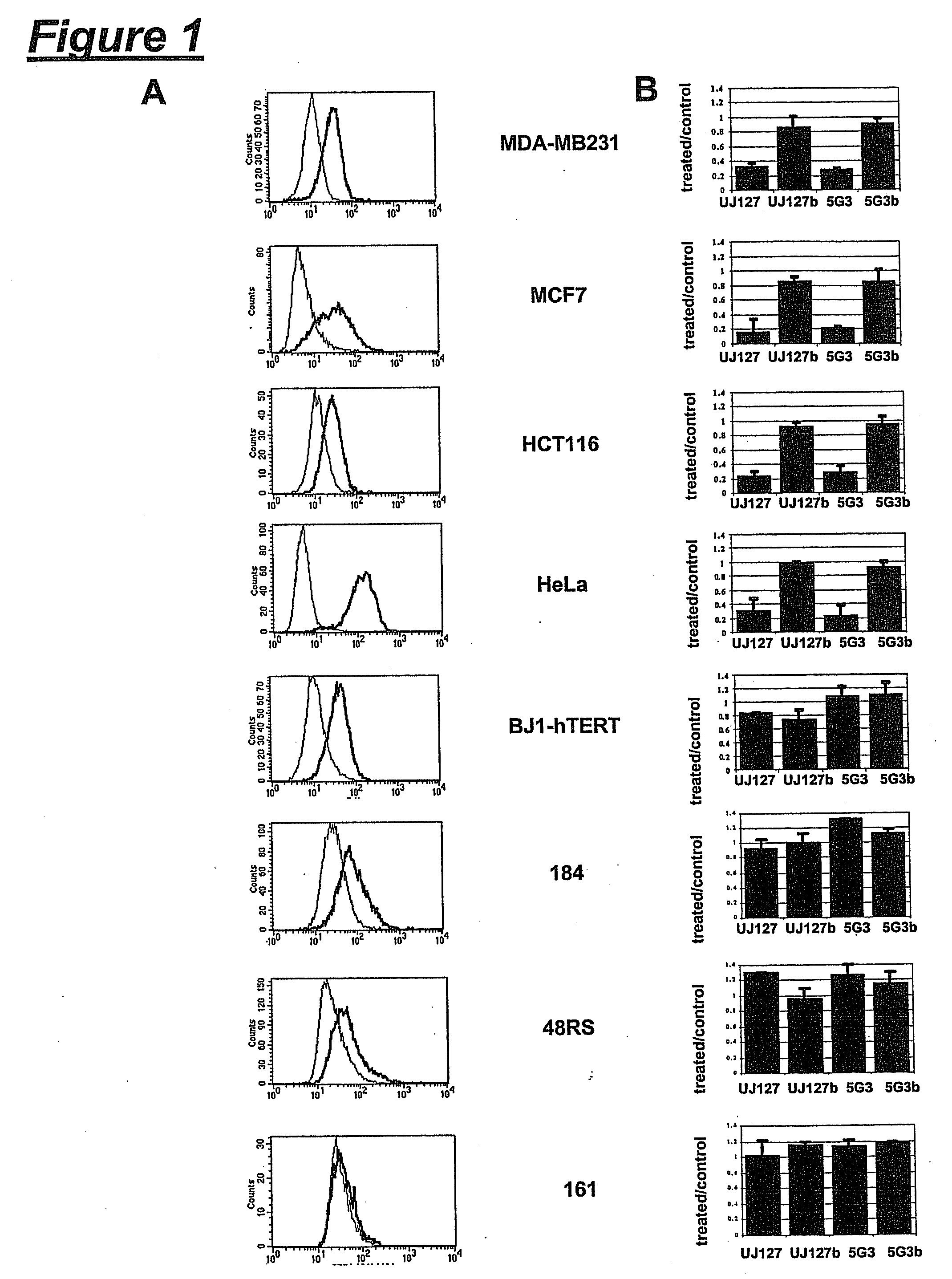 Antibody-Mediated Induction of Tumor Cell Death