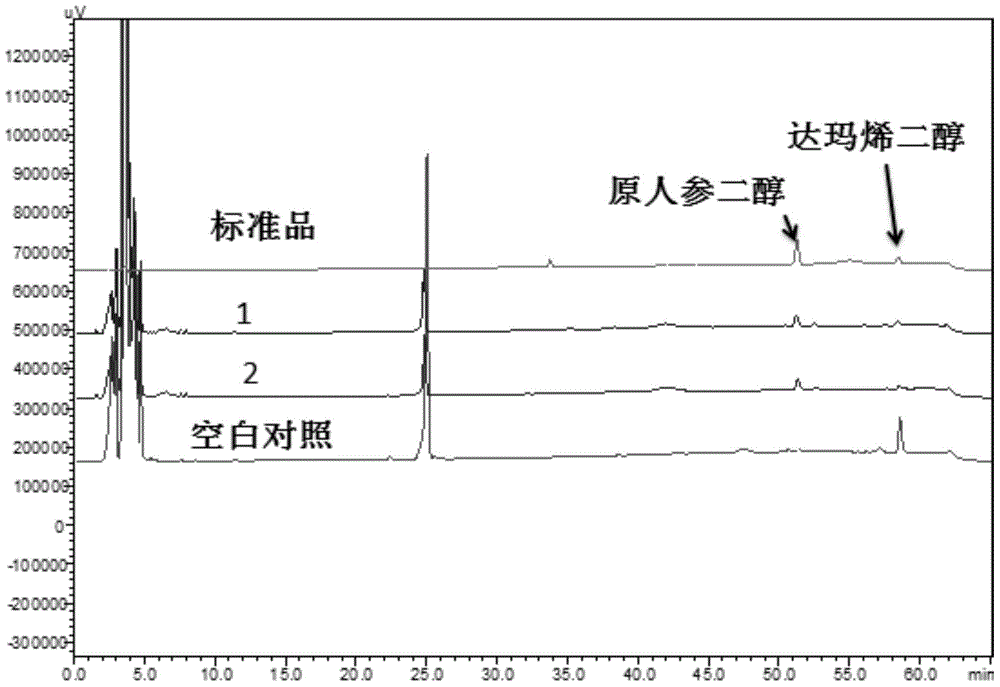 NADPH-cytochrome P450 reducing ferment and application thereof