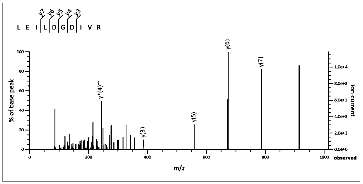 Algal protein peptide with ACE inhibition and antioxidant functions and preparation method of algal protein peptide