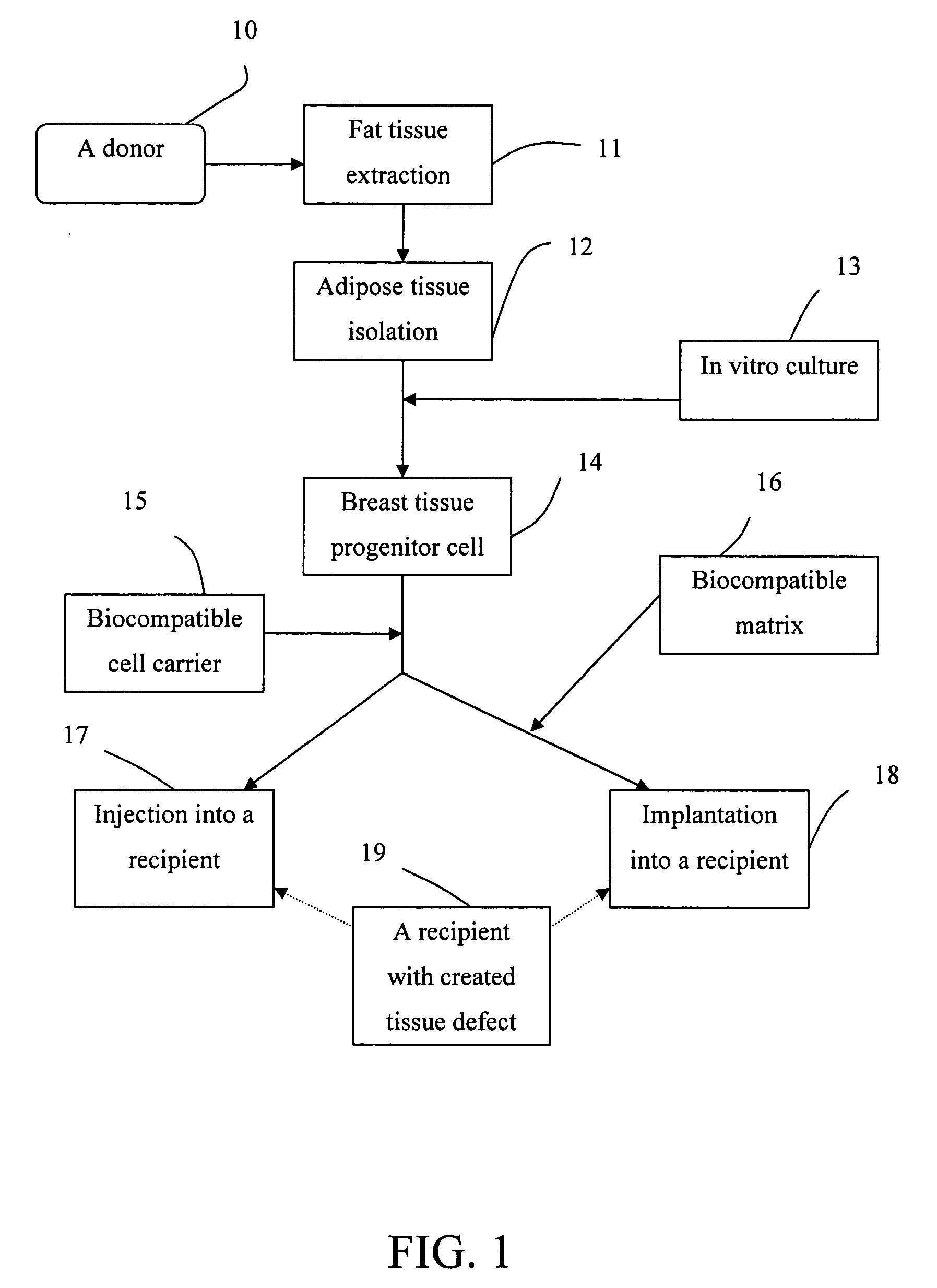 Breast augmentation system