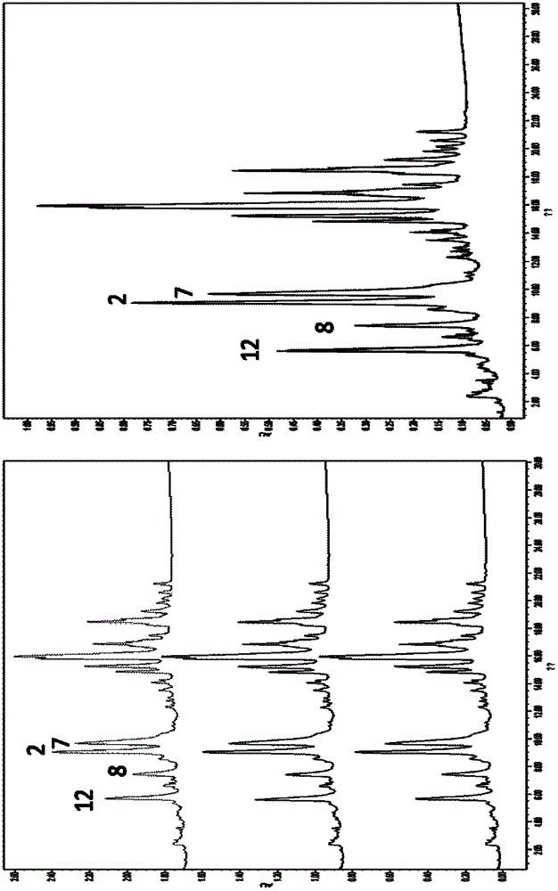 Ultra-high performance liquid chromatography method for identifying high molecular weight glutenin subunits in wheat and application thereof