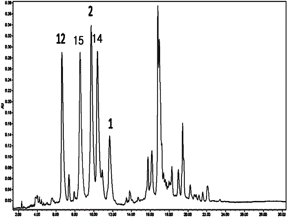 Ultra-high performance liquid chromatography method for identifying high molecular weight glutenin subunits in wheat and application thereof