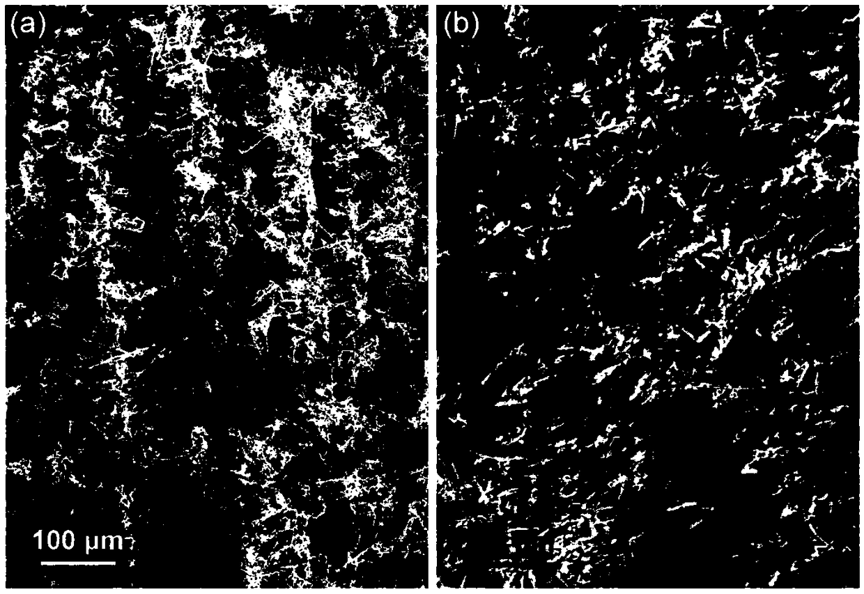 Silicon carbide/resin bionic composite material with directional microstructure, and preparation method thereof