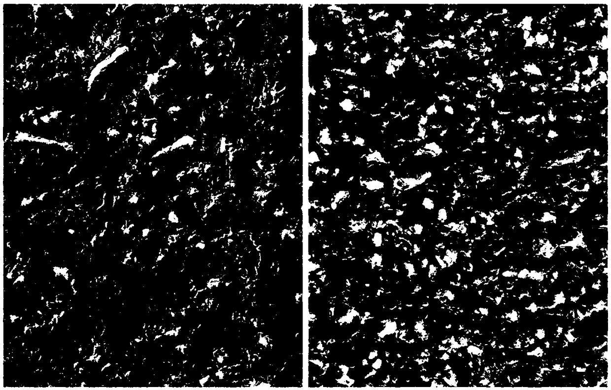 Silicon carbide/resin bionic composite material with directional microstructure, and preparation method thereof