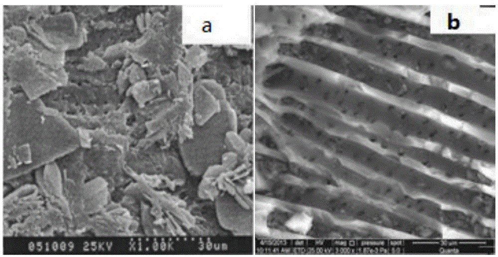 A method for treating reverse osmosis concentrated water by catalytic ozonation