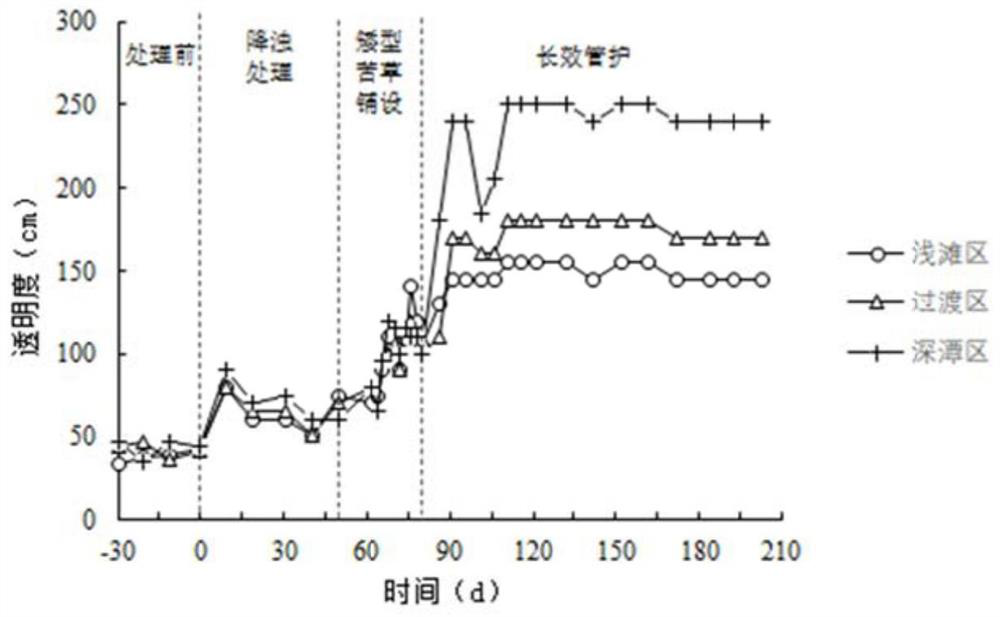 Ecological restoration method of lake water in plain river network area