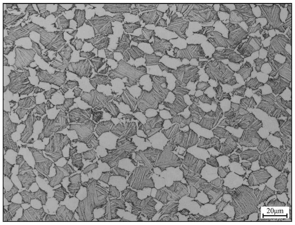 Short-process preparation method for medium-strength and high-toughness titanium alloy medium-thickness plate