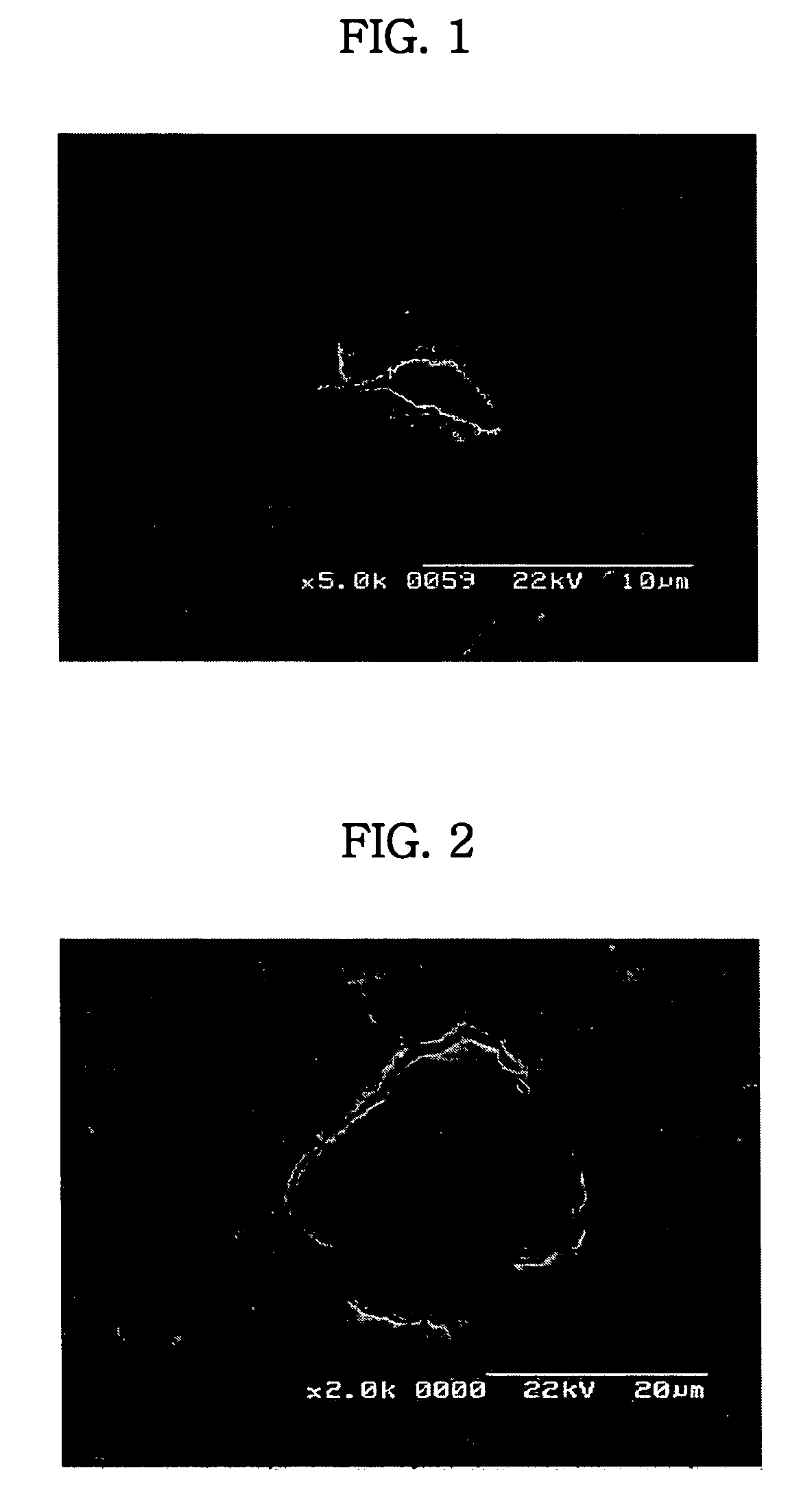 Paste for solid oxide fuel cells, anode-supported solid oxide fuel cells using the same, and fabricating method thereof