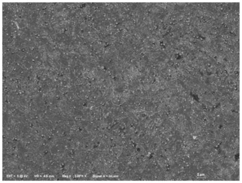 Heat treatment method for stainless steel products formed by SLM