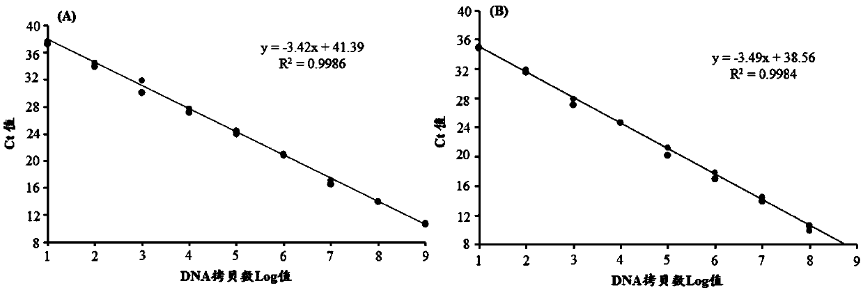 Primer, probe and kit for identifying serum I-type Mardivirus gene deletion vaccine, attenuation vaccine and wild virus