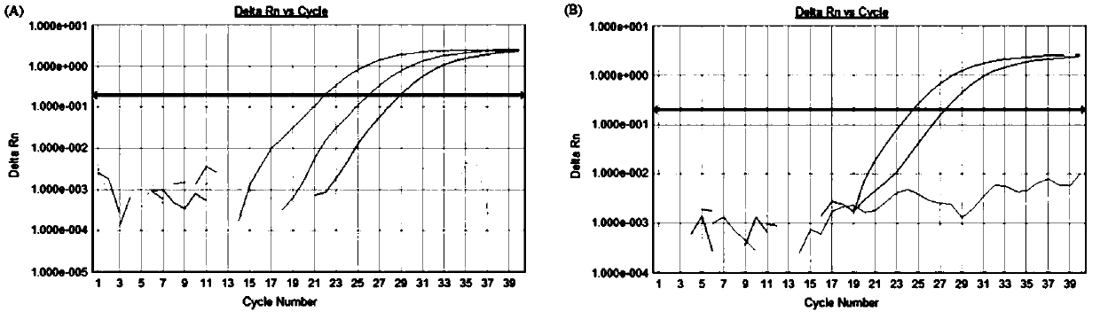 Primer, probe and kit for identifying serum I-type Mardivirus gene deletion vaccine, attenuation vaccine and wild virus