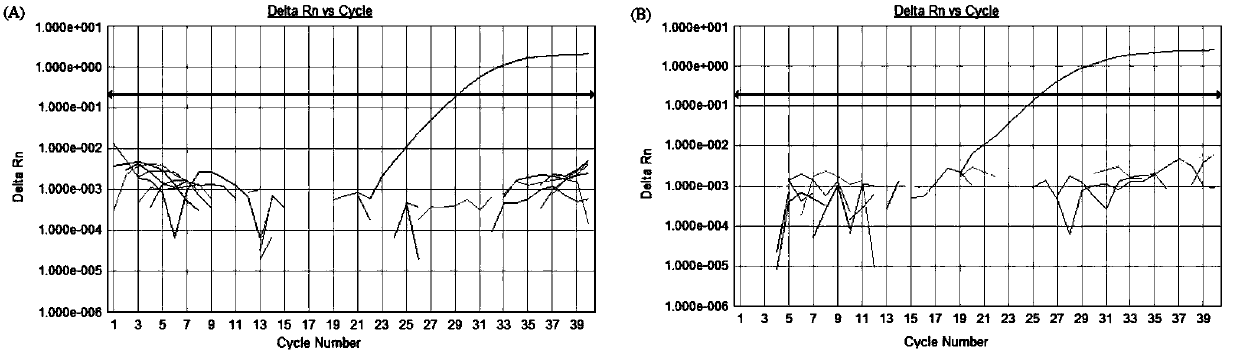 Primer, probe and kit for identifying serum I-type Mardivirus gene deletion vaccine, attenuation vaccine and wild virus