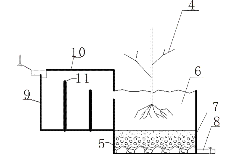 Tree purification domestic sewage treatment system