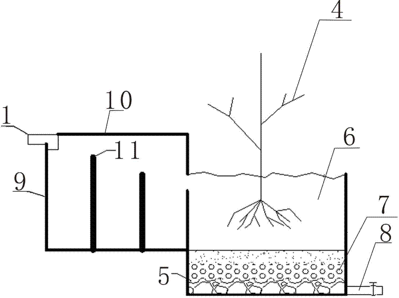 Tree purification domestic sewage treatment system