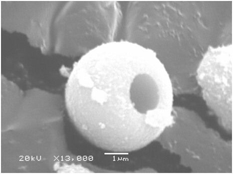 Macroporous spherical zinc sulfide/ferrous sulfide/carbon negative electrode material and preparation method thereof