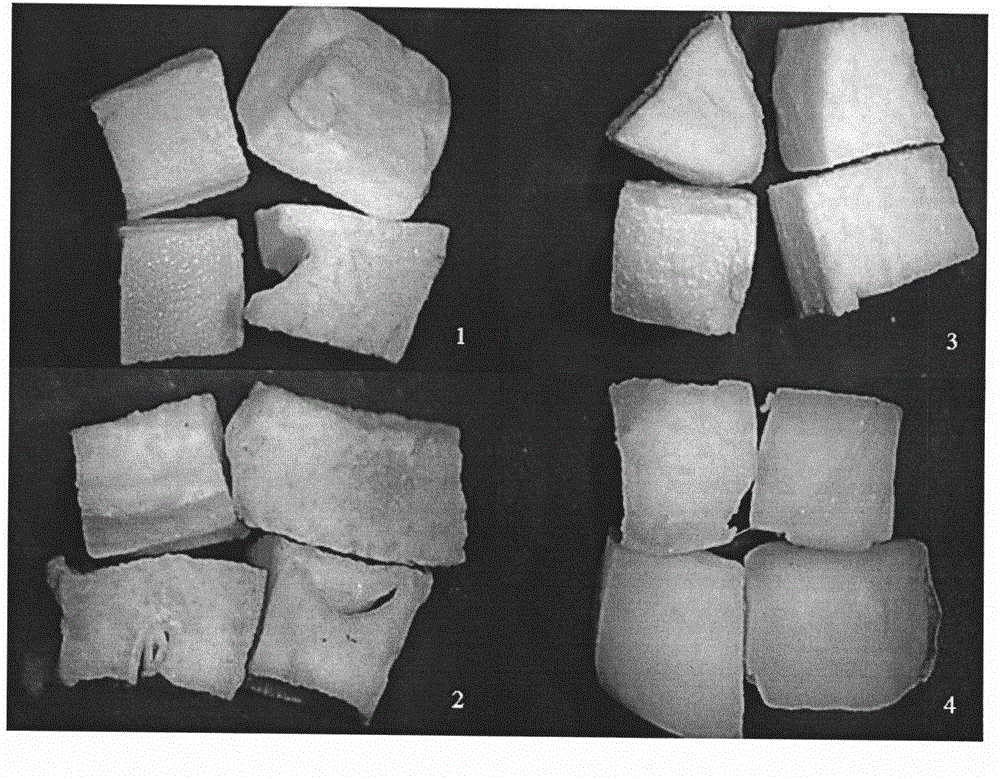 Method for processing garlic granule through vacuum freezing and microwave vacuum serial combined drying