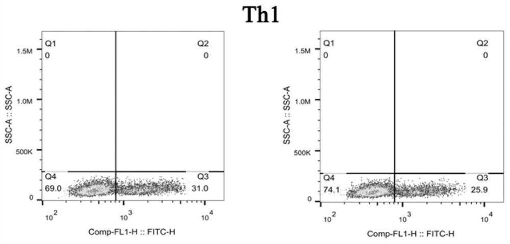 Construction method and application of stem cell quantitative standard for screening immunomodulatory ability of high-quality human umbilical cord mesenchymal stem cells